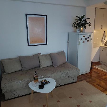 Apartman Dordevic Kraljevo Bagian luar foto