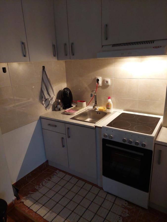Apartman Dordevic Kraljevo Bagian luar foto