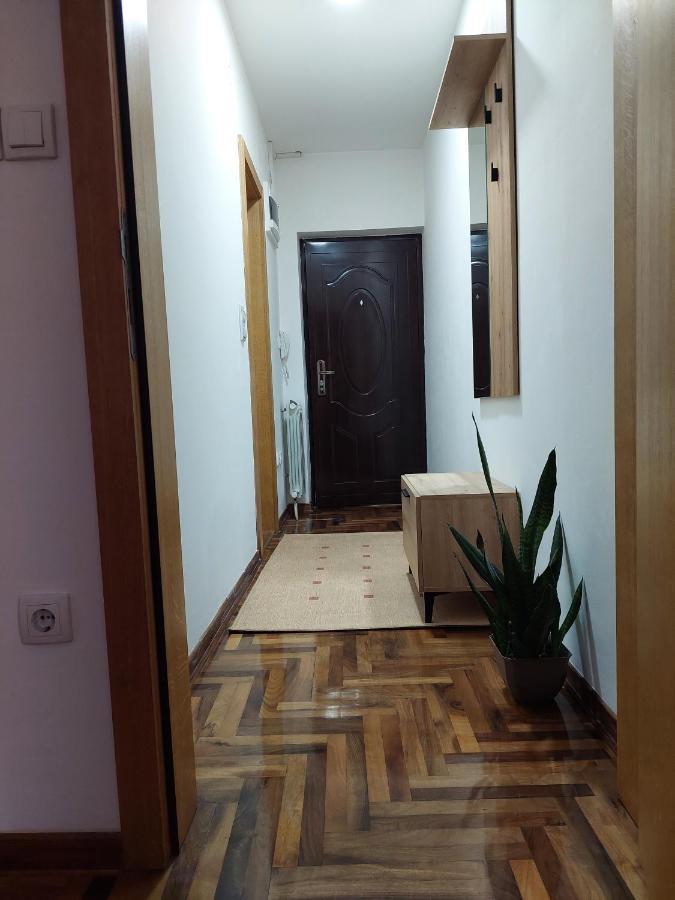 Apartman Dordevic Kraljevo Bagian luar foto