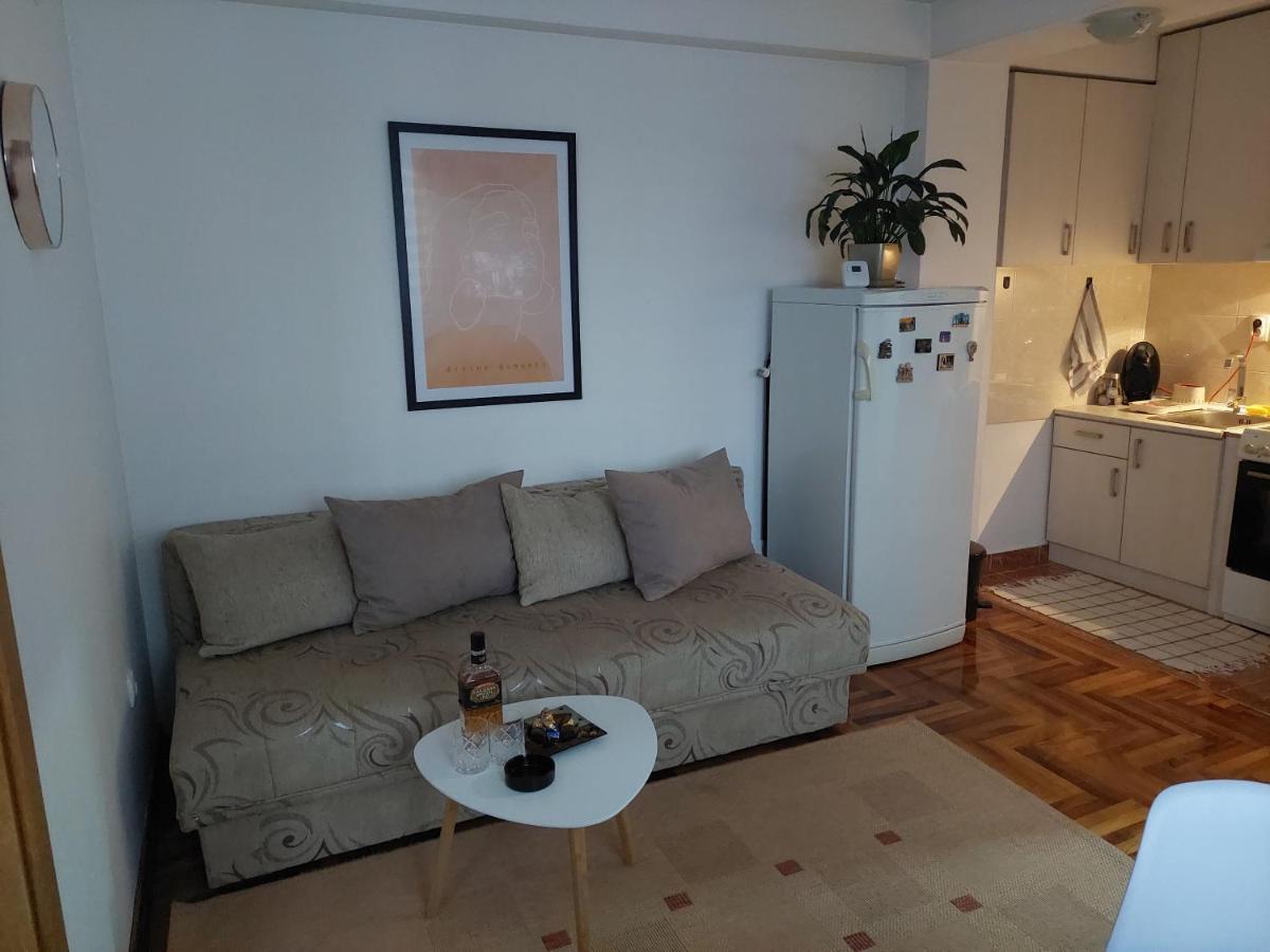 Apartman Dordevic Kraljevo Bagian luar foto